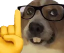 Nerd