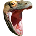 KomodoHype