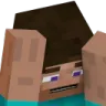 steve_not_like_this