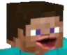 steve_pog