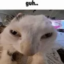 guh guh