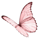 :z_pinky_butterfly: