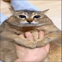 mayyourwoesbemanyandyourdaysbefe