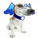 slushysog
