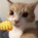 punch punch