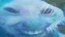 xddcold
