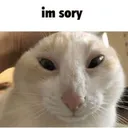 imsory imsory
