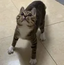 Surprise