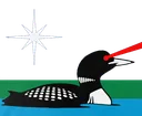 laser_loon