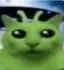 alien alien