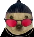 skrilldoge