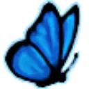 abutterfly