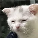 depress