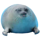 wholesomeseal