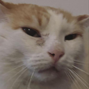 KU_KasimirDisgusted Discord emoji