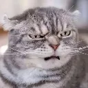emoji_237