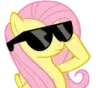p_fluttershy_cool
