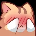 cat_blush