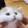 CatBup