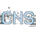 CNS