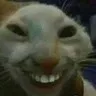 xdd
