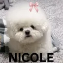 nicole