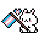 BunnyTransFlagFinal