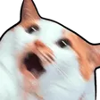 ahhhcat