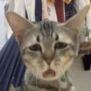 catYuck Discord emoji