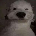 talkingben