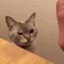 Highfive