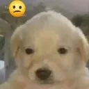 __
