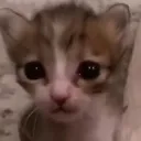 sad