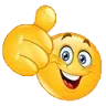 india india