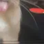 4bleh