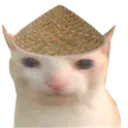 bing_cat