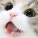 catwah