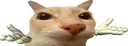 c_TakieDela