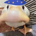 joe_ayo