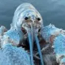 AAAAAAAAAAAAA