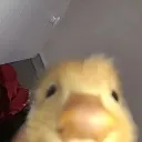 erm
