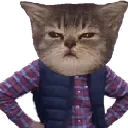 Idontthinksopuss_djk