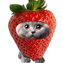 shubert