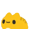 Cat Cat