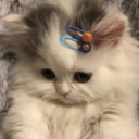gatotrus Discord Emoji | Sweet Killers
