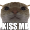 Kiss Discord Emoji - Sweet Killers