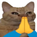 CatPRAYGE