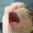 AAAA AAAA