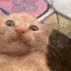 waa