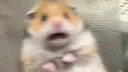 fear_ham